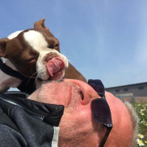 Find a dog sitter and funny dog licking his face. Pet sitter with 5⭐ Trusted House Sitters reviews