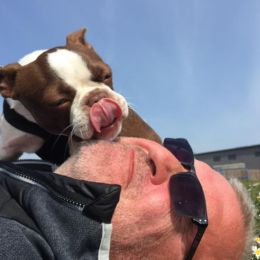 Trusted House Sitters Promo — Get 25% Off — We're free dog sitters and cat sitters who sit in your home